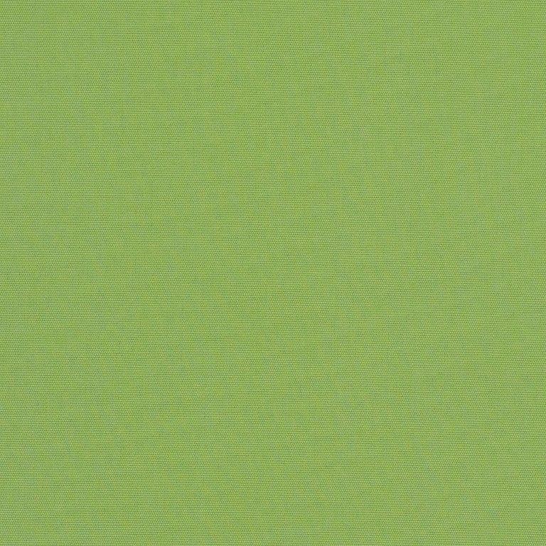 Sunbrella Canvas Ginkgo